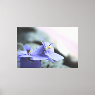 Lienzo floral violeta púrpura