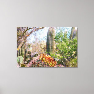 Lienzo Florecimiento del cactus de Sonora en Arizona