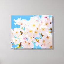 Florecimiento del cerezo en primavera