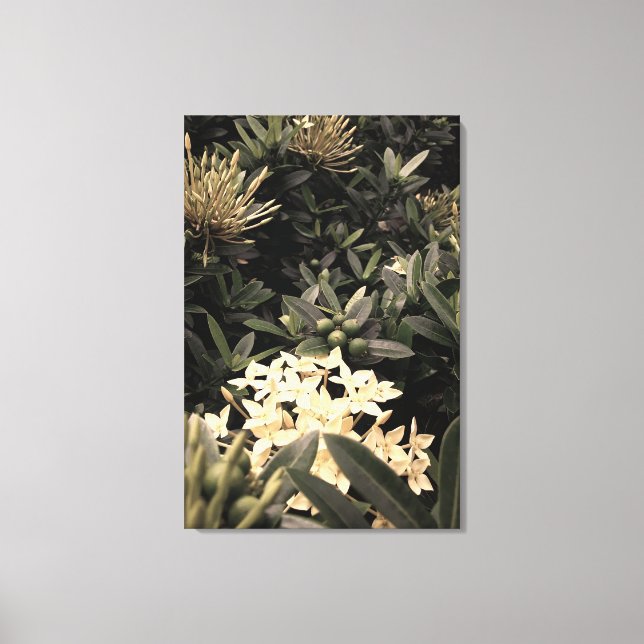 Lienzo Flores amarelas (Anverso)