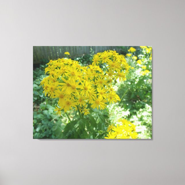 Lienzo Flores amarillas (Anverso)