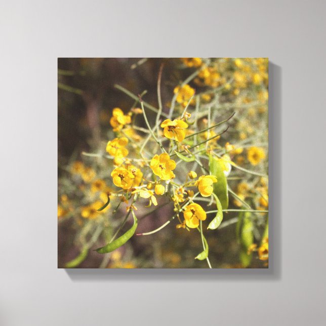 Lienzo Flores amarillas tela envuelta (Anverso)