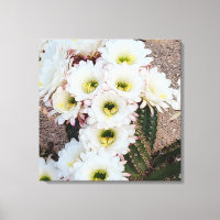 Flores argentinas de Saguaro
