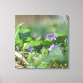 Lienzo Flores Azules Flores Fotografía Botánica Floral