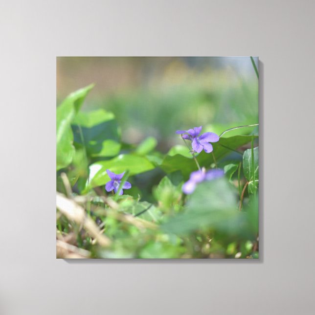 Lienzo Flores Azules Flores Fotografía Botánica Floral (Anverso)