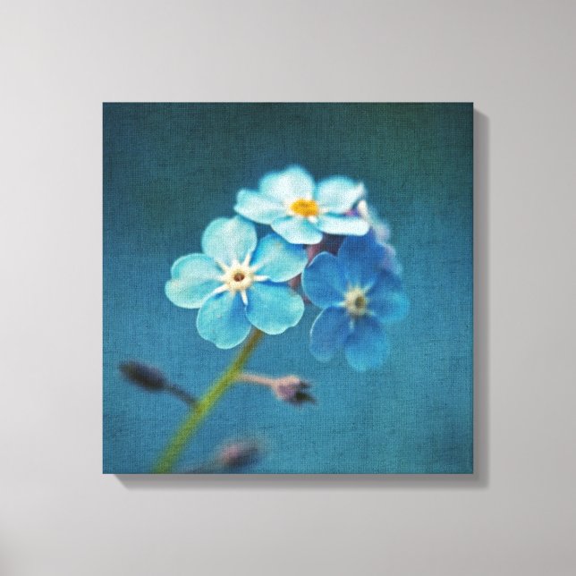 Lienzo Flores Azules Nomeolvides Fotografía Macro (Anverso)