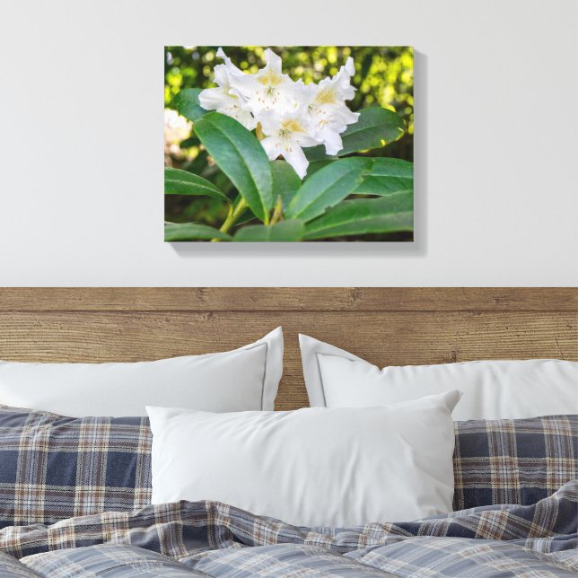 Lienzo Flores blancas de Rhododendron, Allan Park, Norlan (Insitu(Dormitorio))