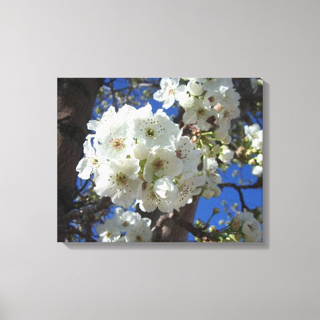 Lienzo Flores blancas en el árbol perverso ornamental (Anverso)