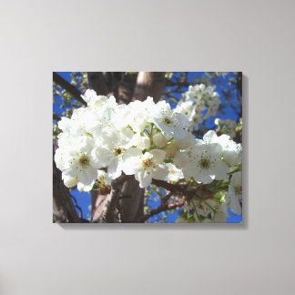 Lienzo Flores blancas II Árbol de flores primavera