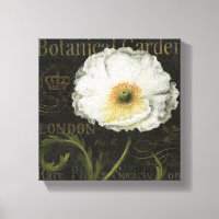 Flores blancas y hojas