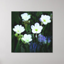 LIENZO FLORES BLANCOS ARROJARON CANVAS