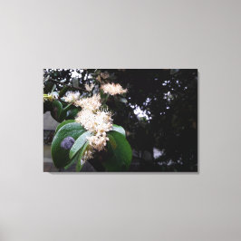 Lienzo flores brancas
