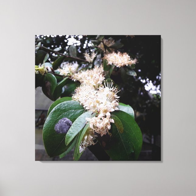 Lienzo flores brancas1 (Anverso)