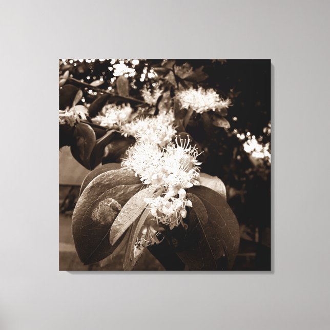 Lienzo flores brancas2 (Anverso)