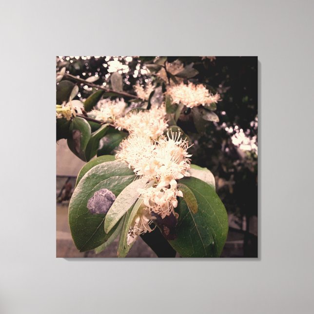 Lienzo flores brancas3 (Anverso)