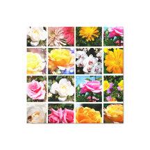 Flores coloridas y espléndidas, rosa rosado, amari