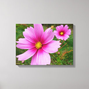 Lienzo Flores Cosmos rosadas Flores silvestres