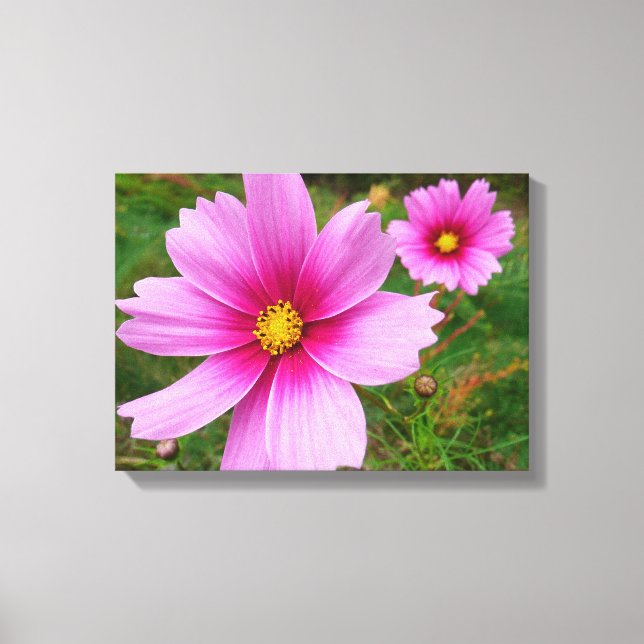 Lienzo Flores Cosmos rosadas Flores silvestres (Anverso)