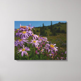 Lienzo Flores de Aster Púrpura en Mount Rainier