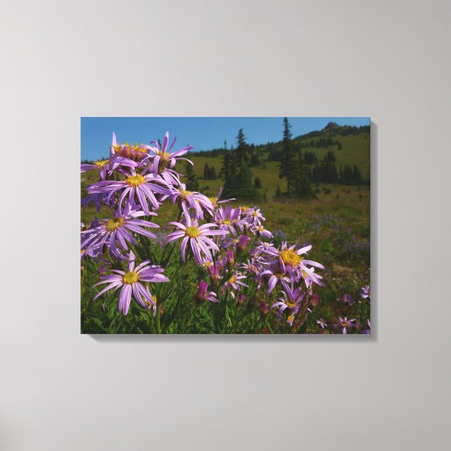 Lienzo Flores de Aster Púrpura en Mount Rainier (Anverso)