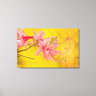 Lienzo Flores de Azalea silvestre - Rhododendron canescen