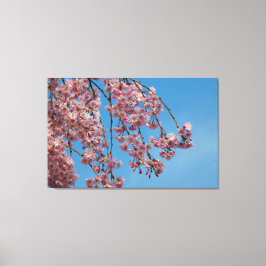 Lienzo Flores de cerezo que lloran