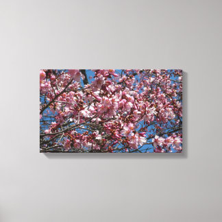 Lienzo Flores de cerezo y flor de Blue Sky Spring