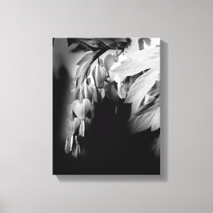 Lienzo Flores De Corazón Sangrante En Blanco Y Negro