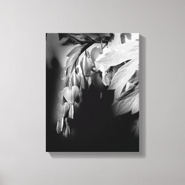Lienzo Flores de corazón sangrante en blanco y negro   (Anverso)
