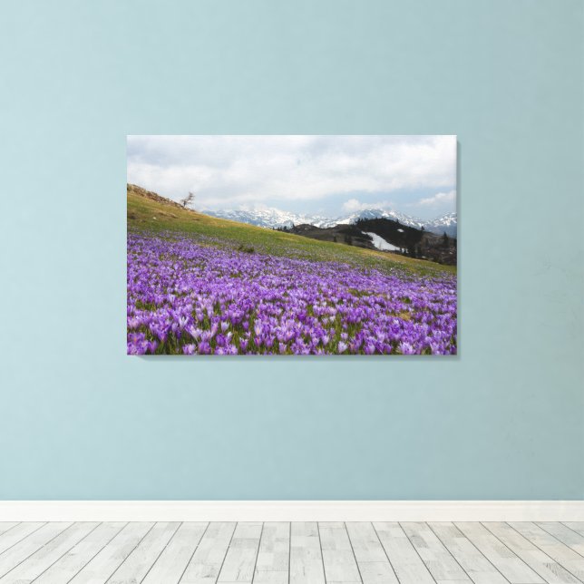 Lienzo Flores de crocus en Velika Planina, Eslovenia (Insitu (piso de madera))
