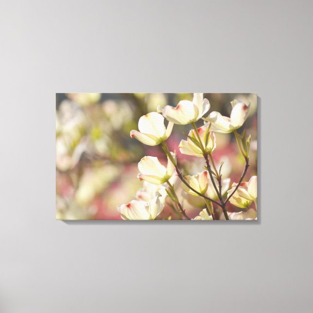 Lienzo Flores de dogwood (Anverso)