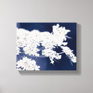 Lienzo Flores de encaje de Reina Ana envueltas tela