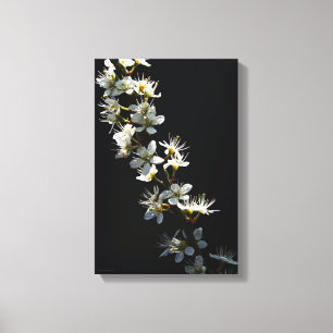Lienzo Flores de espino de halcón 11x16.5 (27.5x41.25cm)