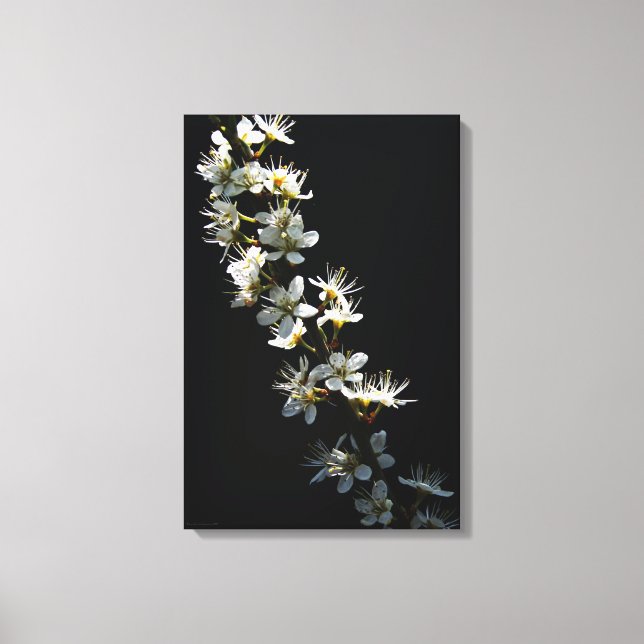 Lienzo Flores de espino de halcón 16x24 (40x60cm) waccna (Anverso)