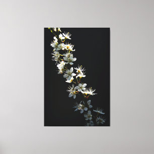 Lienzo Flores de espino de halcón 40x60 (100x150cm) waccn