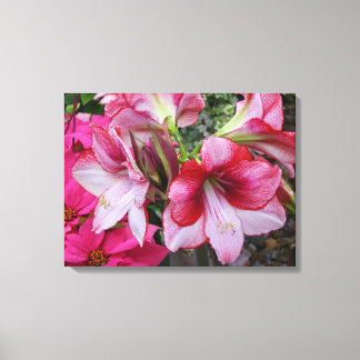 Lienzo Flores de feriado rojo de Amaryllis y Poinsettia