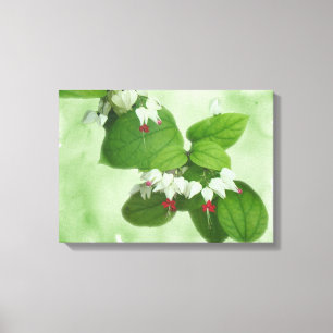 Lienzo Flores de fucsia blanca y roja en fondo verde