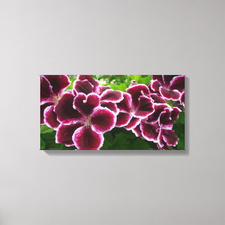 Lienzo Flores de Geranio Regio Elegantes Florales Marrone