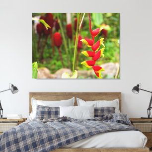 Lienzo Flores de Heliconia Garra de Langosta en Costa Ric