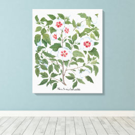Lienzo Flores de Hibisco Antiguas por Basilius Besler