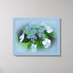 Lienzo Flores de hidrangea azul del capuchón de encaje