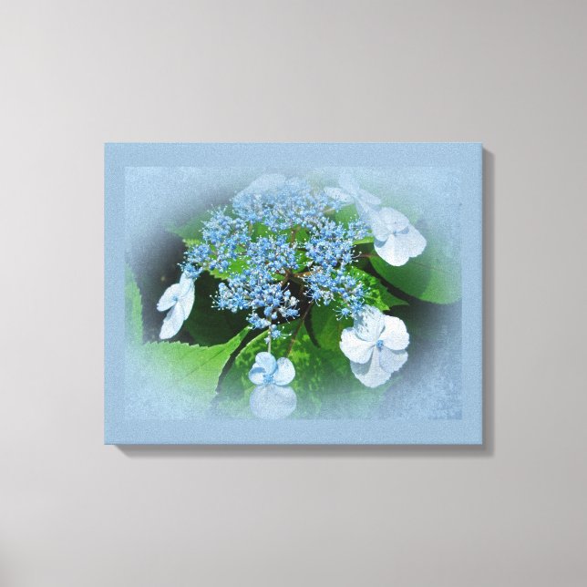 Lienzo Flores de hidrangea azul del capuchón de encaje (Anverso)