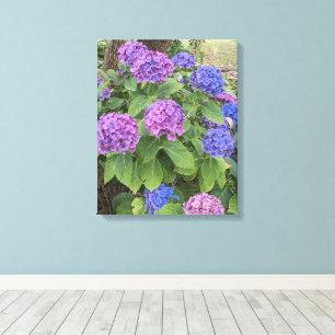 Lienzo Flores de Hortensias Azules y Rosadas Floral