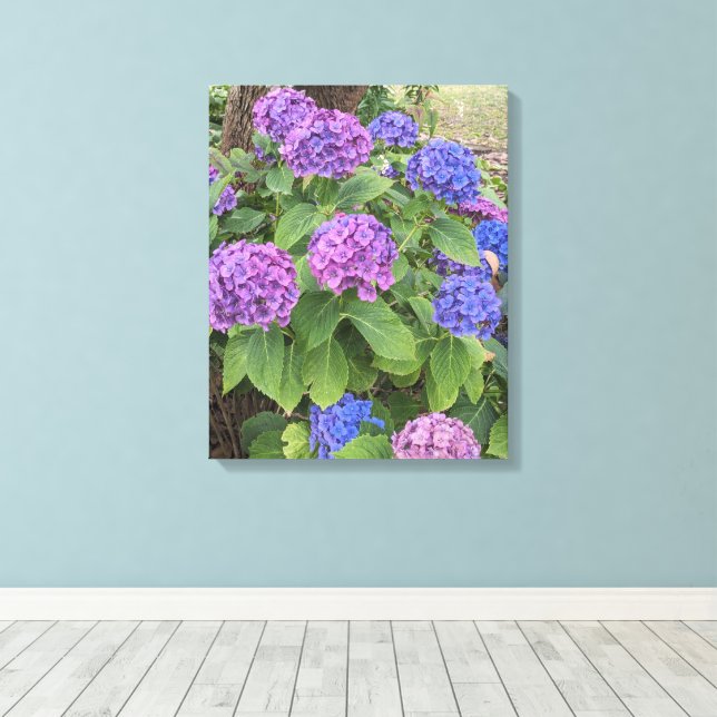 Lienzo Flores de Hortensias Azules y Rosadas Floral (Insitu (piso de madera))