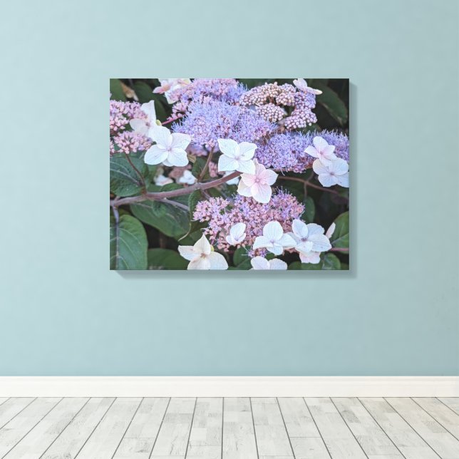 Lienzo Flores de Hydrangea Aspera Floral (Insitu (piso de madera))
