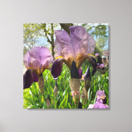 Lienzo Flores De Iris De Cabeza