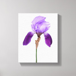 Lienzo Flores de iris morado de moda boho floral glamour 