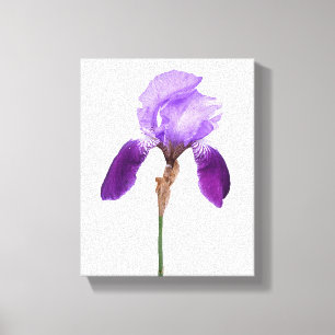 Lienzo Flores de iris morado glam boho floral trendy feme