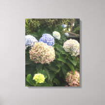 Flores de jardín