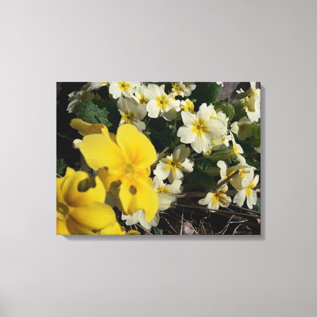 Lienzo Flores de jardín blancas y amarillas (Anverso)